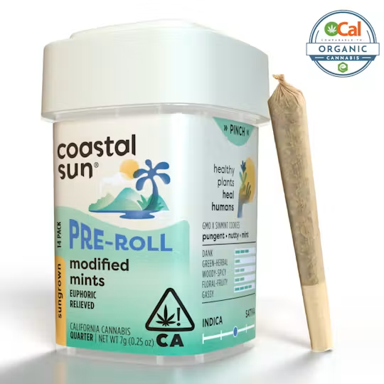 Coastal Sun | Ocal | Modified Mints | Pre-Rolls | 14pk