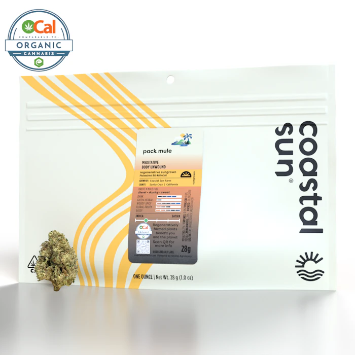 Coastal Sun - Coastal Sun | OCal | Pack Mule | 28g Main Image