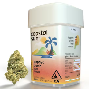 COASTAL SUN - Coastal Sun | OCal | Papaya Bomb | 7g
