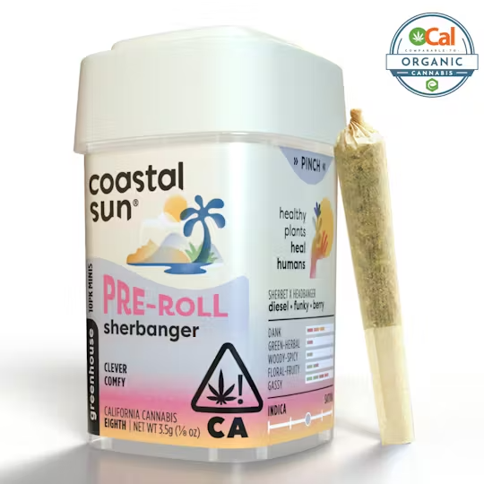 Coastal Sun | Ocal | Sherbanger | Pre-Rolls | 10pk