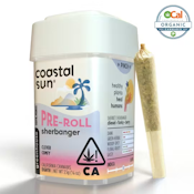 Coastal Sun | Ocal | Sherbanger | Pre-Rolls | 10pk