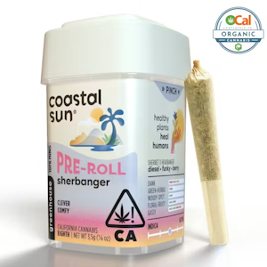 COASTAL SUN - Coastal Sun | Ocal | Sherbanger | Pre-Rolls | 10pk