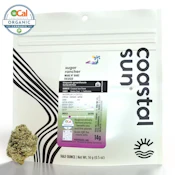 Coastal Sun | OCal | Sugar Rancher | 14g
