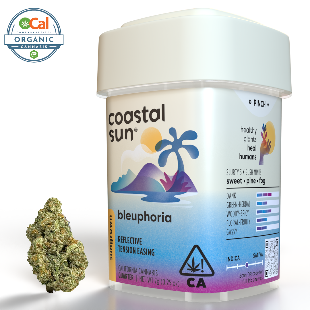 Coastal Sun | OCal | Bluephoria | 7g