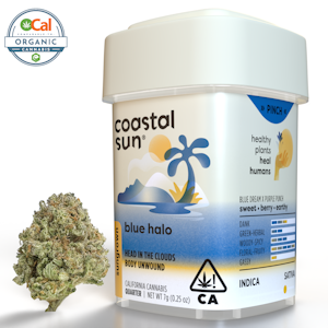COASTAL SUN - Coastal Sun | OCal | Blue Halo | 7g