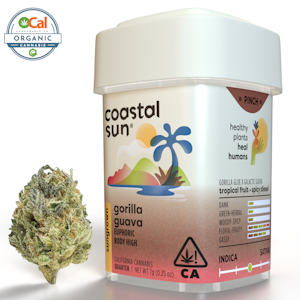 COASTAL SUN - Coastal Sun | OCal | Gorilla Guava | 7g