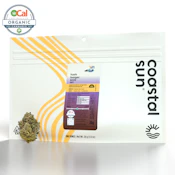 Hash Burger - 28g (H) - Coastal Sun