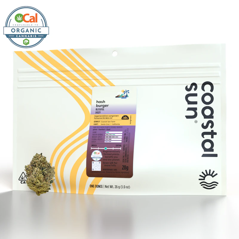 Coastal Sun - Hash Burger - 28g (H) - Coastal Sun Main Image