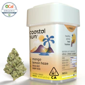 Coastal Sun | OCal | Mango Lemon Haze | 7g