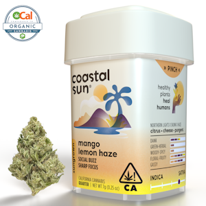 COASTAL SUN - Coastal Sun | OCal | Mango Lemon Haze | 7g