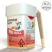 Coastal Sun | Ocal | Strawnana Mac | Pre-Rolls | 14pk