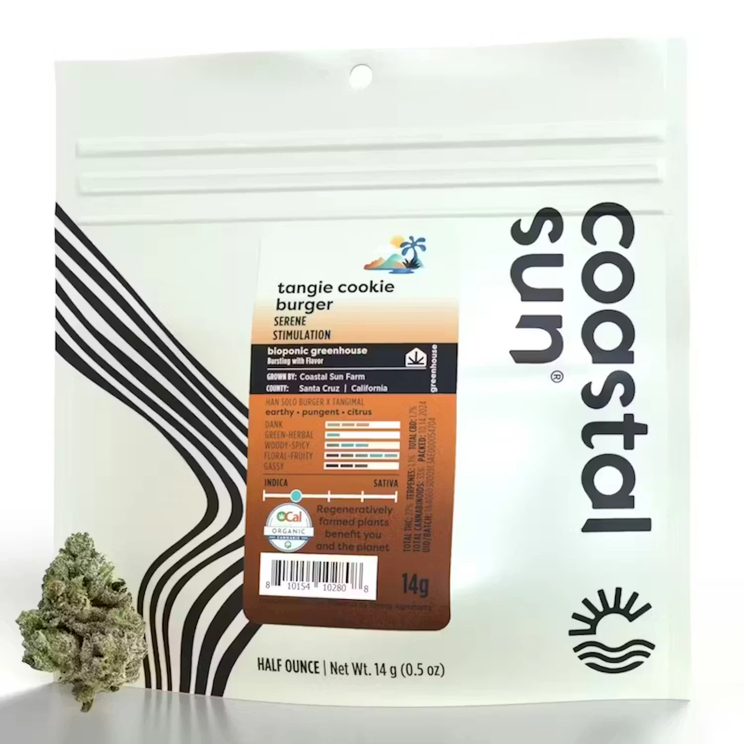 Coastal Sun - Coastal Sun | OCal | Tangie Cookie Burger | 14g Main Image