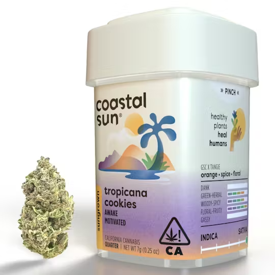 Coastal Sun | OCal | Tropicana Cookies | 7g