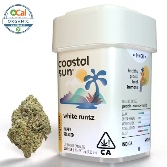 Coastal Sun | OCal | White Runtz | 7g