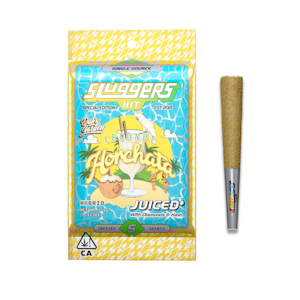 HIT SLUGGERS - 5pk - Coconut Horchata - 3.5g (H) - Sluggers 