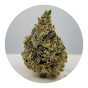 THC - Cold in the D Flower