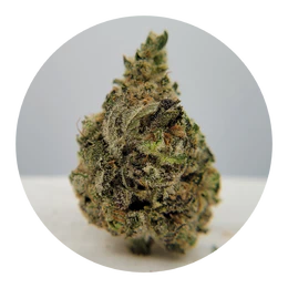 The Hempire Collective - THC - Cold in the D Flower Main Image