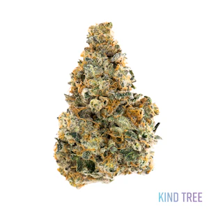 Kind Tree - Kind Tree | Collab #13 | 3.5g