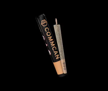 COMMCAN, INC. - The Nightmare PreRoll - 1g - CMC