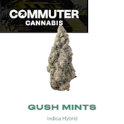 Gush Mints | Buds | 3.5g