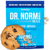 Dr. N 100mg Cookies NANO