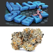 3.5g Blue Suede - Cookies