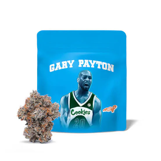 Harmony - Harmony - 3.5 Pre Pack - Gary Payton Main Image