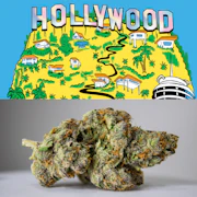 Hollywood 3.5 Gram Tub By Cookies