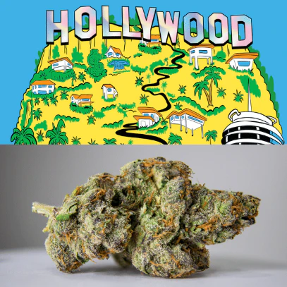 Cookies - Hollywood 3.5 Gram Tub By Cookies Main Image