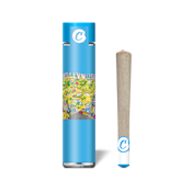 COOKIES | HOLLYWOOD - INFUSED | PREROLL | 1G