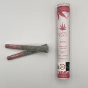 Royal Leaf – Cosmic Z – 17.6% THC - 2pk x .5g - Pre-roll