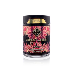 Cream Of The Crop. - CREAM OF THE CROP - Flower - Blue Haze - 3.5G