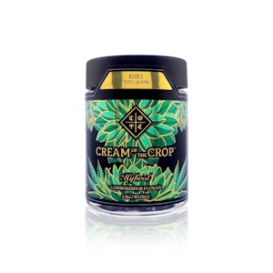 Cream Of The Crop. - CREAM OF THE CROP - Flower - Kush Z - Bigs - 3.5G