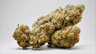 HEALium - Cowboy Lemonade - 3.5g