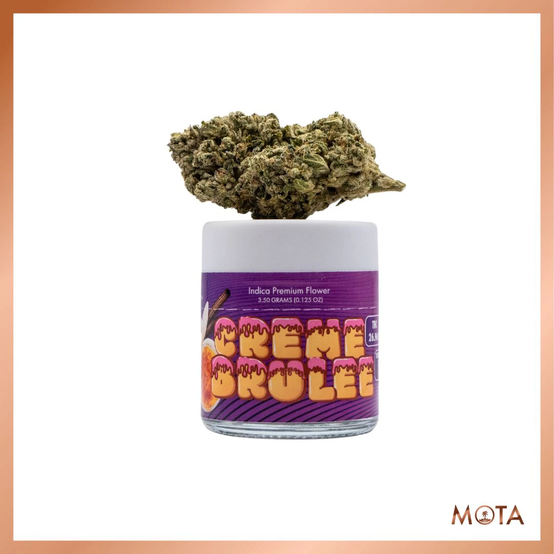 MOTA - Mota Flwr 8th Creme Brulee Main Image