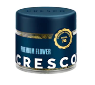 Gush Mints Flower - 7g