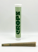 Orange Malt Preroll - 1g