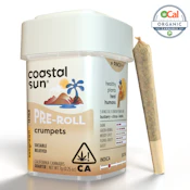Coastal Sun Pre-rolls 14pk - Crumpets 26%