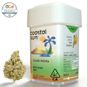 Coastal Sun Flower 7g - Crush Mints 30%