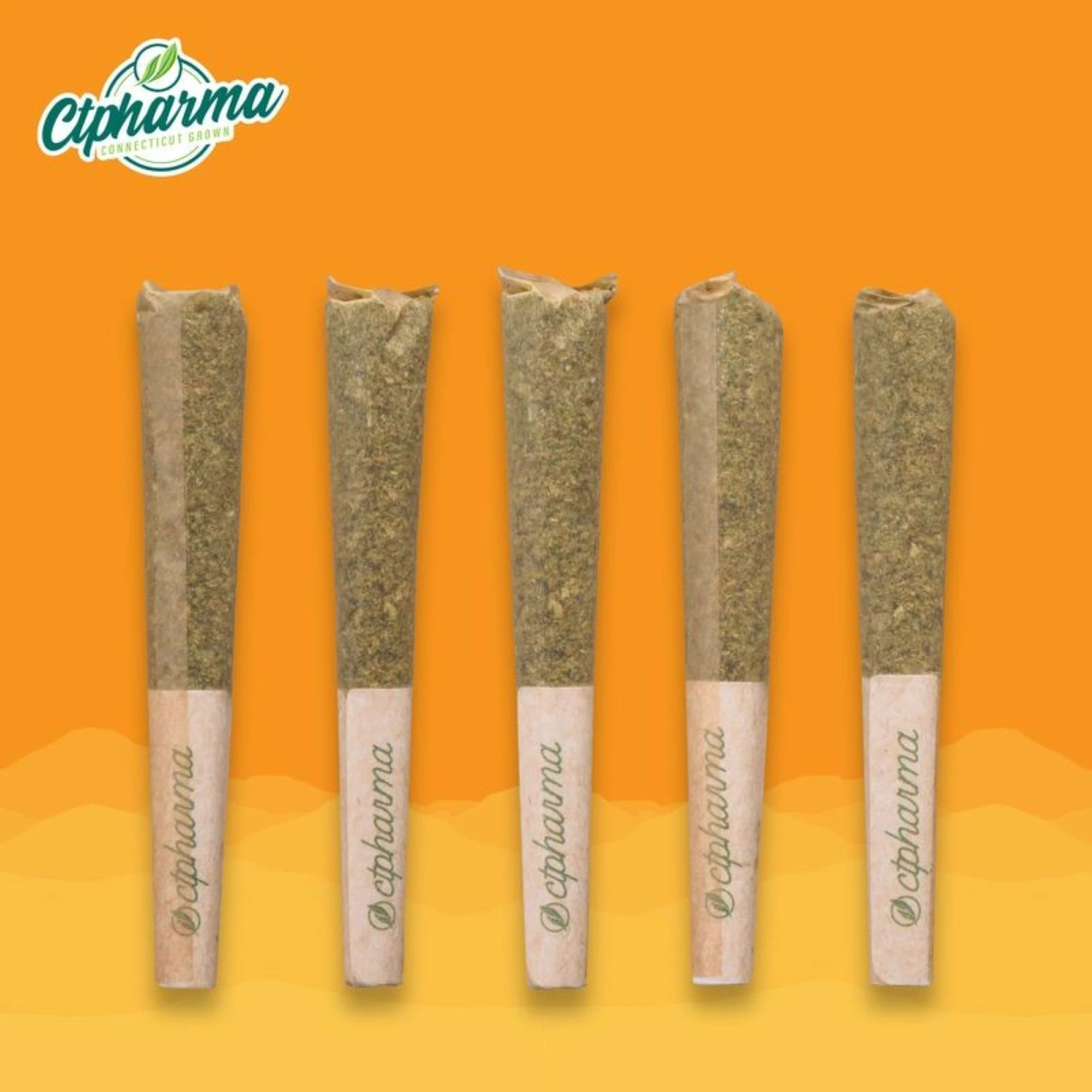 CT Pharma - Super Lemon G Shorties S 27429 Main Image