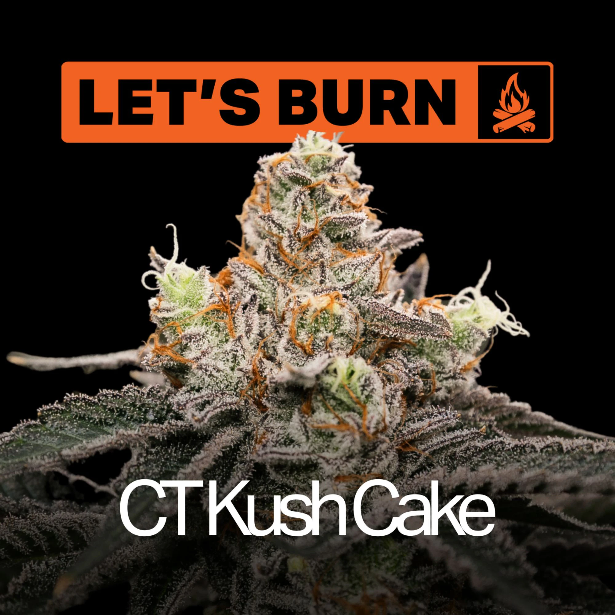LET'S BURN - CT Kush Cake 3.5g 0132 Main Image