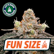 CT Kush Cake 7g Fun Size Budz 0138
