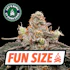Product Preview Image 1