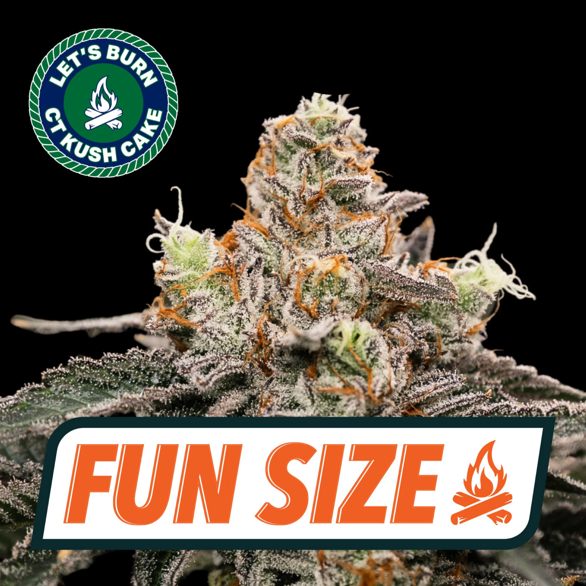LET'S BURN - CT Kush Cake 7g Fun Size Budz 0138 Main Image