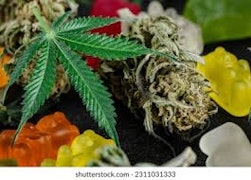 Peak Blueberry Diesel Sativa Chocolate Bar 100mg