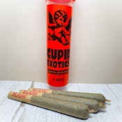Cupid Exotics