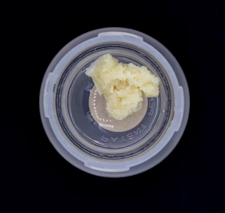 JAR Cannabis Co. - Cold Cure Rosin | White Truffle | 1g