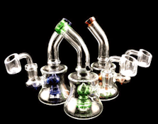 Glass - 6" Curved Color Mouth & Showerhead Perc Dab Rig