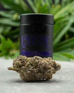 BLEM - BLEM - Hybrid - CYATTIE - (3.5g)