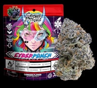 Smoken Promises - Cyber Punch - 3.5g Flower